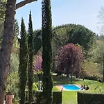 Rosella Alt *